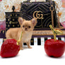 Venezia Red Sable Girl