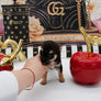 Valentino Micro Boy