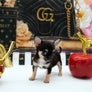 Valentino Micro Boy