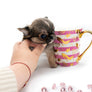 βMeet Zoey β The Future of Puppy Companionship is Here!β