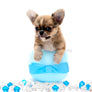 “Presenting Nova Boy– The World’s First Exclusive Cloned Program Teacup Puppy!”