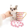 “Introducing Mila – The Ultra-Rare Cloned Program Puppy No One Else Can Offer!”