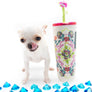 “Meet Amara – Fully Grown, Tiny, and Trained to Perfection"