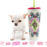“Meet Amara – Fully Grown, Tiny, and Trained to Perfection"