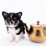 Louis Doll Teacup