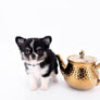 Louis Doll Teacup