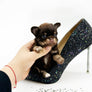 Prima Micro LC Choco Girl