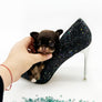 Prima Donna Micro LC Choco Girl