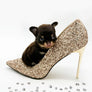 Prima Micro LC Choco Girl