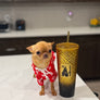Sandy 1y Old Tiny Girl