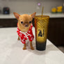 Sandy 1y Old Tiny Girl