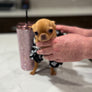 Sandy 1y Old Tiny Girl