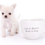 Suri Micro Teacup LC White Boy