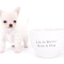 Suri Micro Teacup LC White Boy