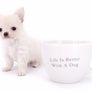 Suri Micro Teacup LC White Boy