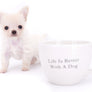 Suri Micro Teacup LC White Boy