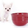 Suri Micro Teacup LC White Boy