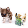 Miny is a micro teacup LC Sable Boy