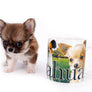 Miny is a micro teacup LC Sable Boy