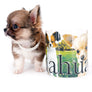 Miny is a micro teacup LC Sable Boy