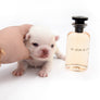 Bulgari's Sold to Anita NY