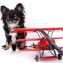 Birkin Doll Extreme Short Muzzle Boy
