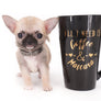 Milan West Teacup SC Blue Fawn Boy