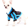 Liam Marcus Teacup Short Muzzle SC Boy