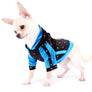Liam Marcus Teacup Short Muzzle SC Boy