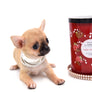 Melody Micro Teacup Sable Girl