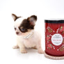 Lilly Nelly Extreme Short Muzzle White Chocolate Girl