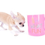 Anna Micro Extreme Short muzzle Sable Girl