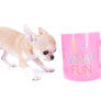 Anna Micro Extreme Short muzzle Sable Girl
