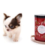 Lilly Nelly Extreme Short Muzzle White Chocolate Girl