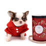 Lilly Nelly Extreme Short Muzzle White Chocolate Girl