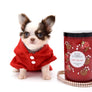 Lilly Nelly Extreme Short Muzzle White Chocolate Girl