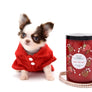 Lilly Nelly Extreme Short Muzzle White Chocolate Girl