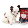 Suri LC white Chocolate Girl