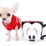 Minnie Micro Girl only 1.8 lbs at 6 months old