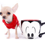 Minnie Micro Girl only 1.8 lbs at 6 months old