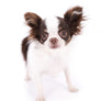 Romeo Tiny Micro Boy