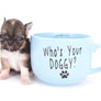 Lilly Bella Micro Teacup Girl