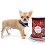 Milay Teacup Red Sable
