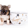 Lilly Bella Micro Teacup Girl