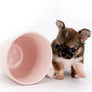 Lilly Bella Micro Teacup Girl