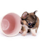 Lilly Bella Micro Teacup Girl