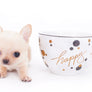 Arian Micro Teacup Extreme Short Muzzle Boy
