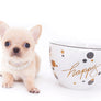 Arian Micro Teacup Extreme Short Muzzle Boy