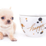 Arian Micro Teacup Extreme Short Muzzle Boy