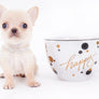 Arian Micro Teacup Extreme Short Muzzle Boy